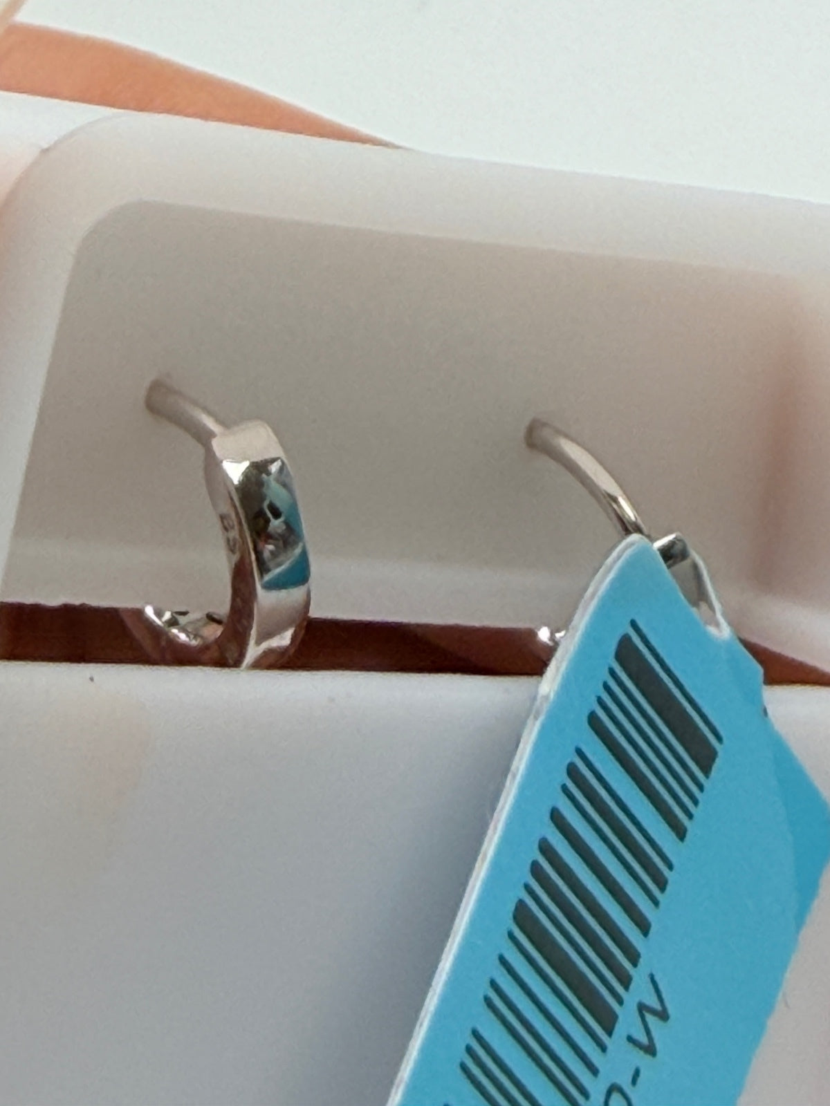 Sterling Silver Moissanite RP Hoop Earrings