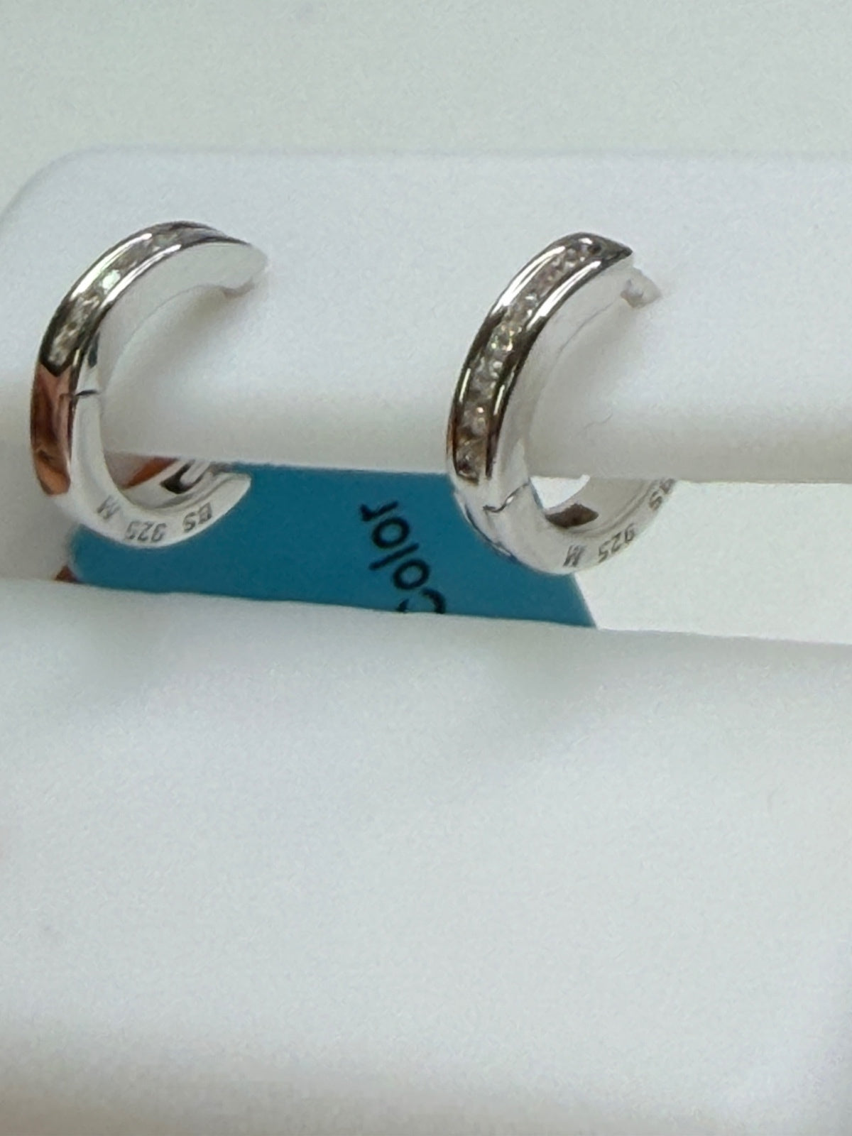 Sterling Silver Moissanite RP Hoop Earrings