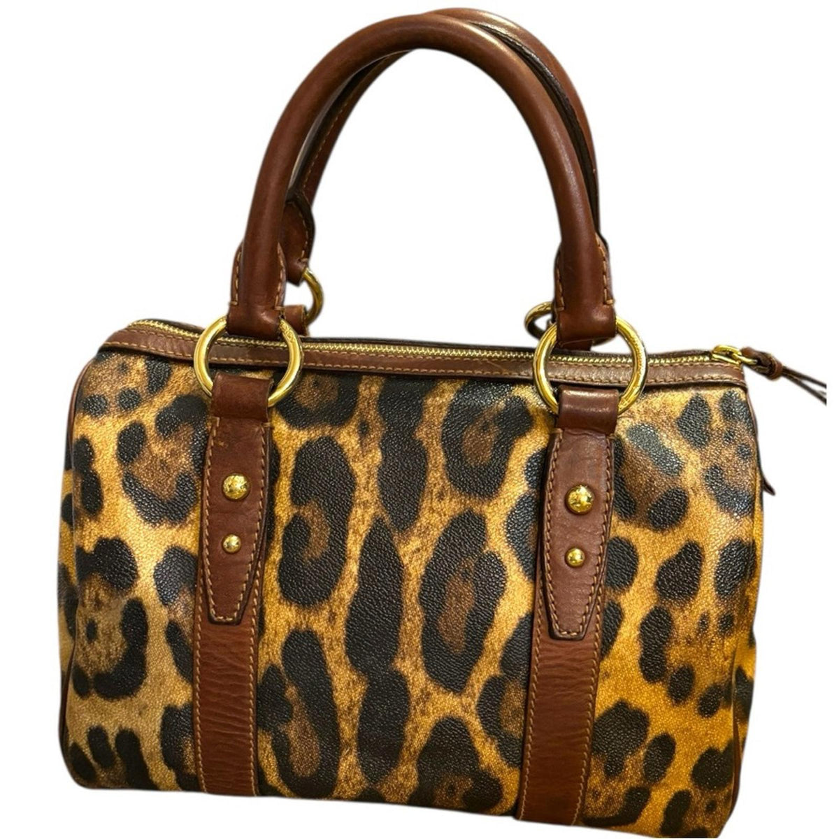 Dolce & Gabbana Leopard Print Boston Bag