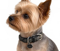 Coach Rare Black Signature Jacquard Authentic Dog Collar and Leash Set